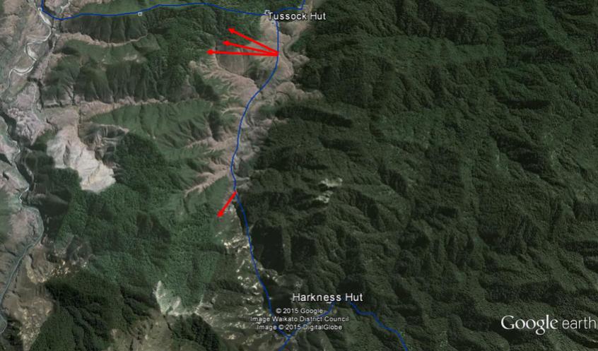 Name:  Tussock Hunts.jpg
Views: 566
Size:  72.2 KB