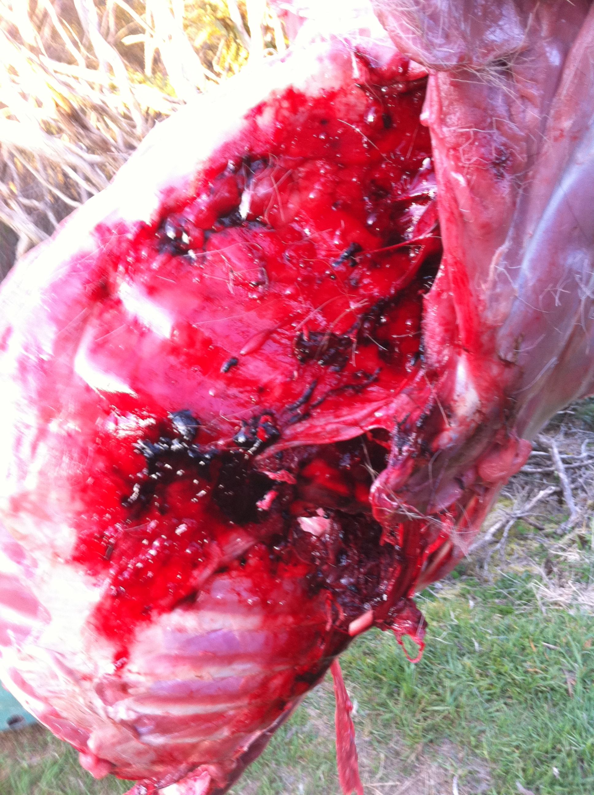 Name:  IMG_0292.jpg
Views: 553
Size:  788.3 KB