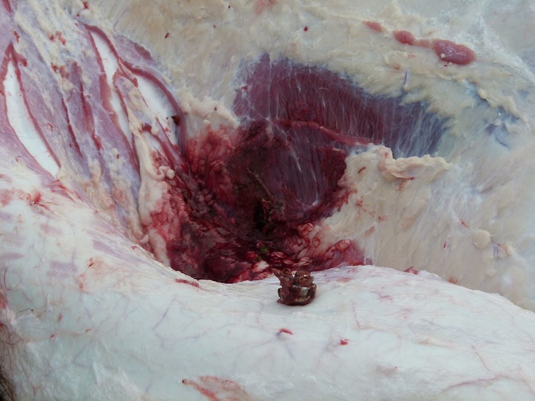 Name:  Image.jpg
Views: 1065
Size:  115.1 KB