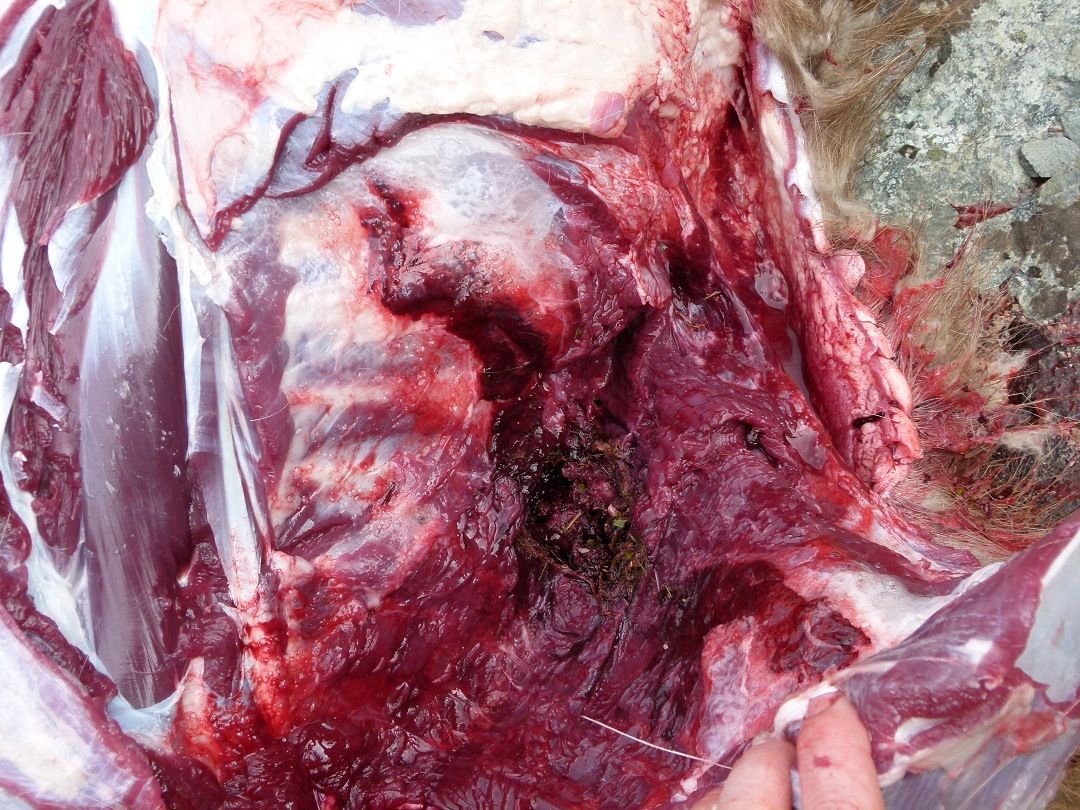 Name:  Image 1.jpg
Views: 1762
Size:  235.4 KB
