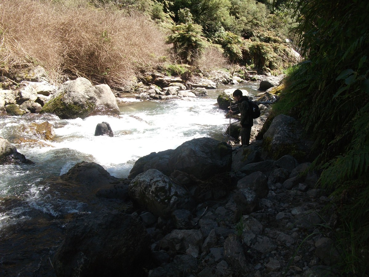 Name:  Picture 959.jpg
Views: 326
Size:  384.4 KB