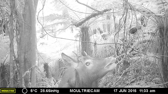 Name:  033.JPG
Views: 674
Size:  140.4 KB