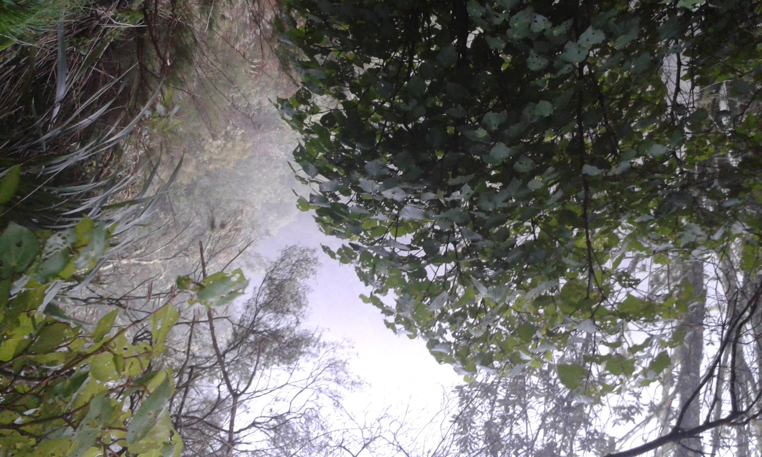 Name:  Fog is following me[1].jpg
Views: 600
Size:  507.3 KB
