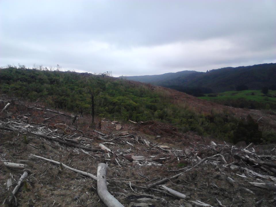 Name:  Recce pic.jpg
Views: 759
Size:  78.1 KB