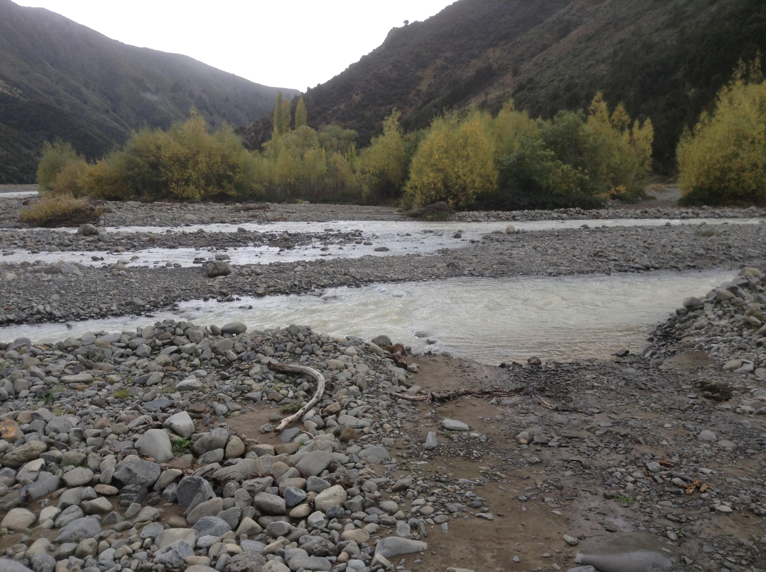 Name:  IMG_1791.jpg
Views: 1132
Size:  641.2 KB