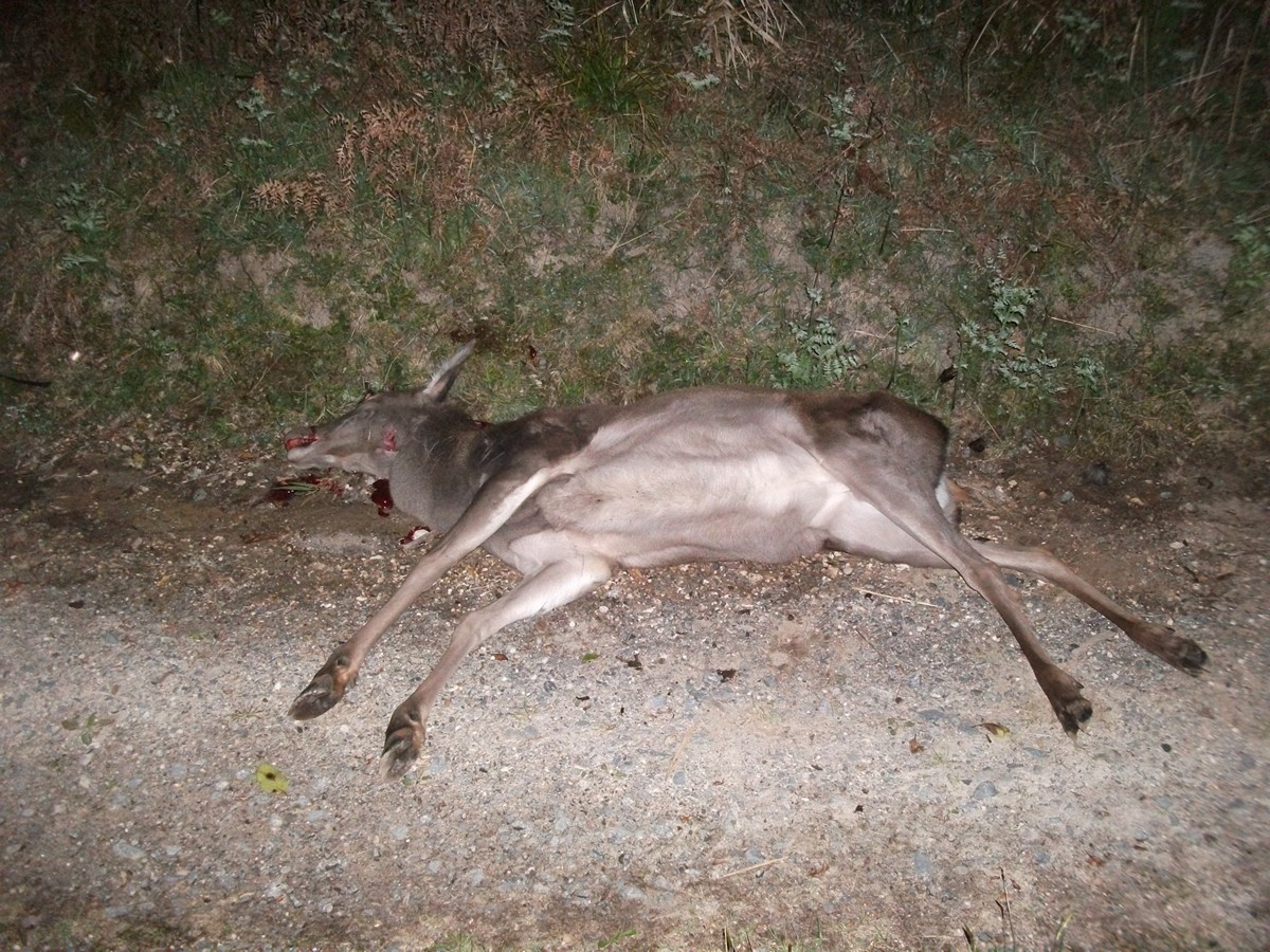 Name:  Picture 2 226.jpg
Views: 780
Size:  409.5 KB