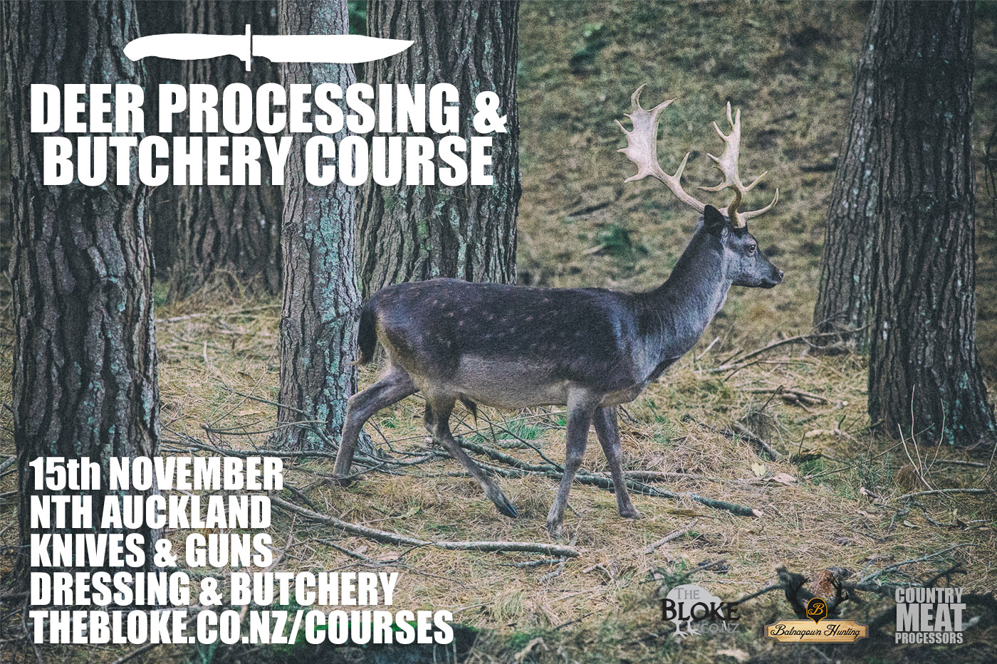 Name:  Deer15th.jpg
Views: 529
Size:  641.5 KB