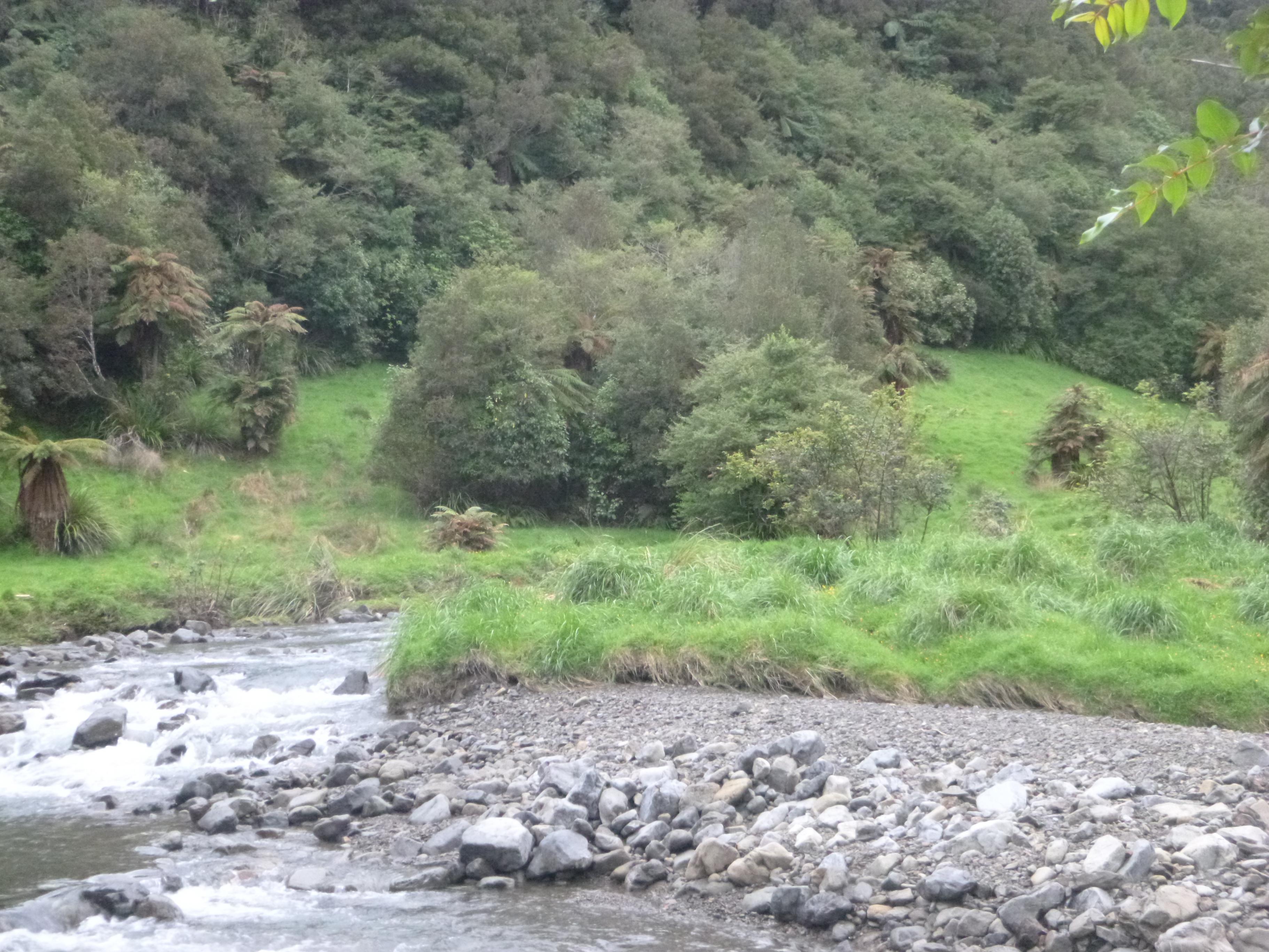 Name:  P1000216.jpg
Views: 640
Size:  1.06 MB