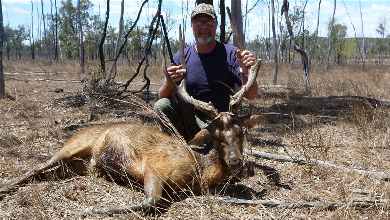 Name:  Rusa with 223 (802 x 452).jpg
Views: 524
Size:  182.2 KB