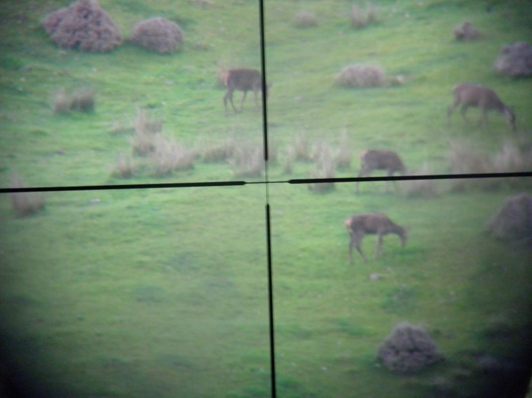 Name:  PA230162.jpg
Views: 670
Size:  59.9 KB