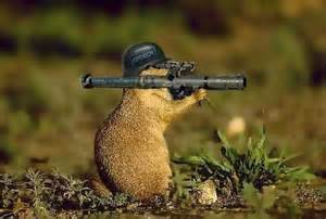 Name:  Gopher Fights Back.jpg
Views: 218
Size:  10.2 KB