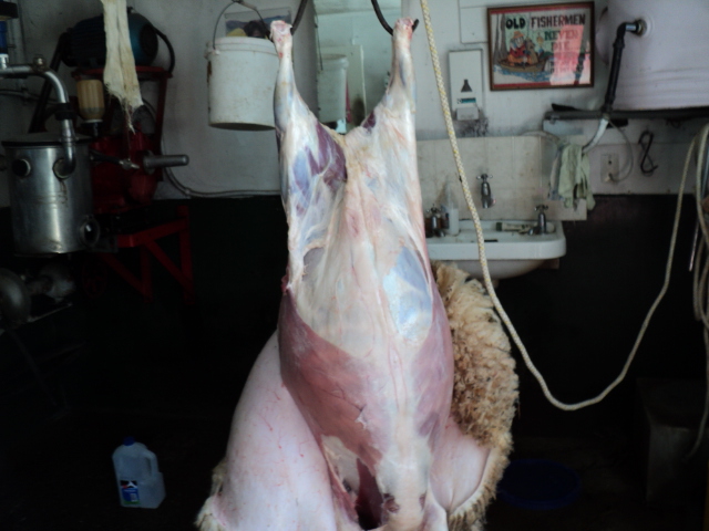 Name:  picture 509.jpg
Views: 379
Size:  165.0 KB