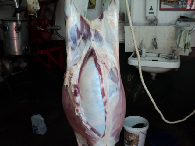 Name:  picture 511.jpg
Views: 335
Size:  165.3 KB