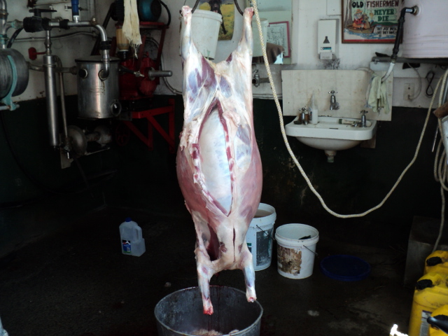 Name:  picture 512.jpg
Views: 302
Size:  165.0 KB