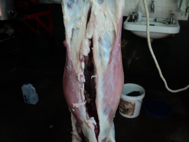 Name:  picture 513.jpg
Views: 330
Size:  164.4 KB