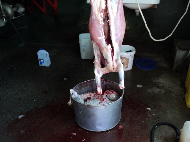 Name:  picture 514.jpg
Views: 285
Size:  164.4 KB