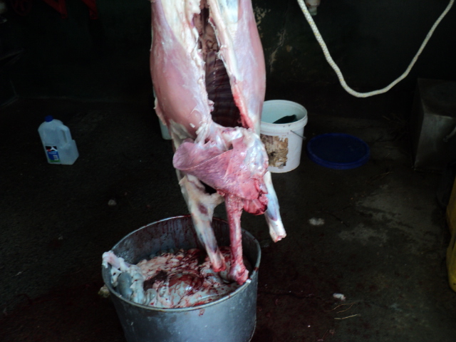 Name:  picture 516.jpg
Views: 240
Size:  163.2 KB