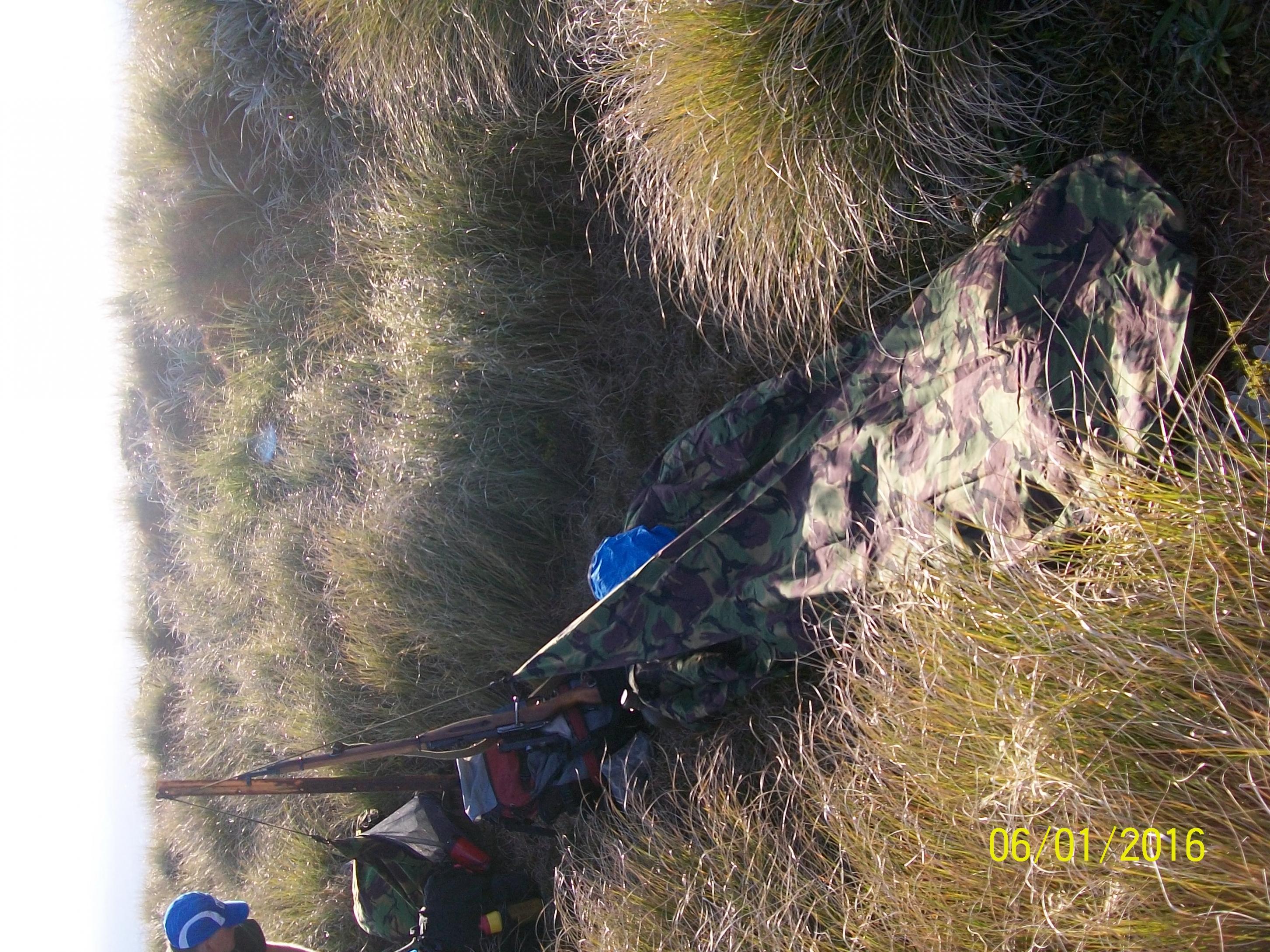 Name:  100_2865.jpg
Views: 623
Size:  1.01 MB