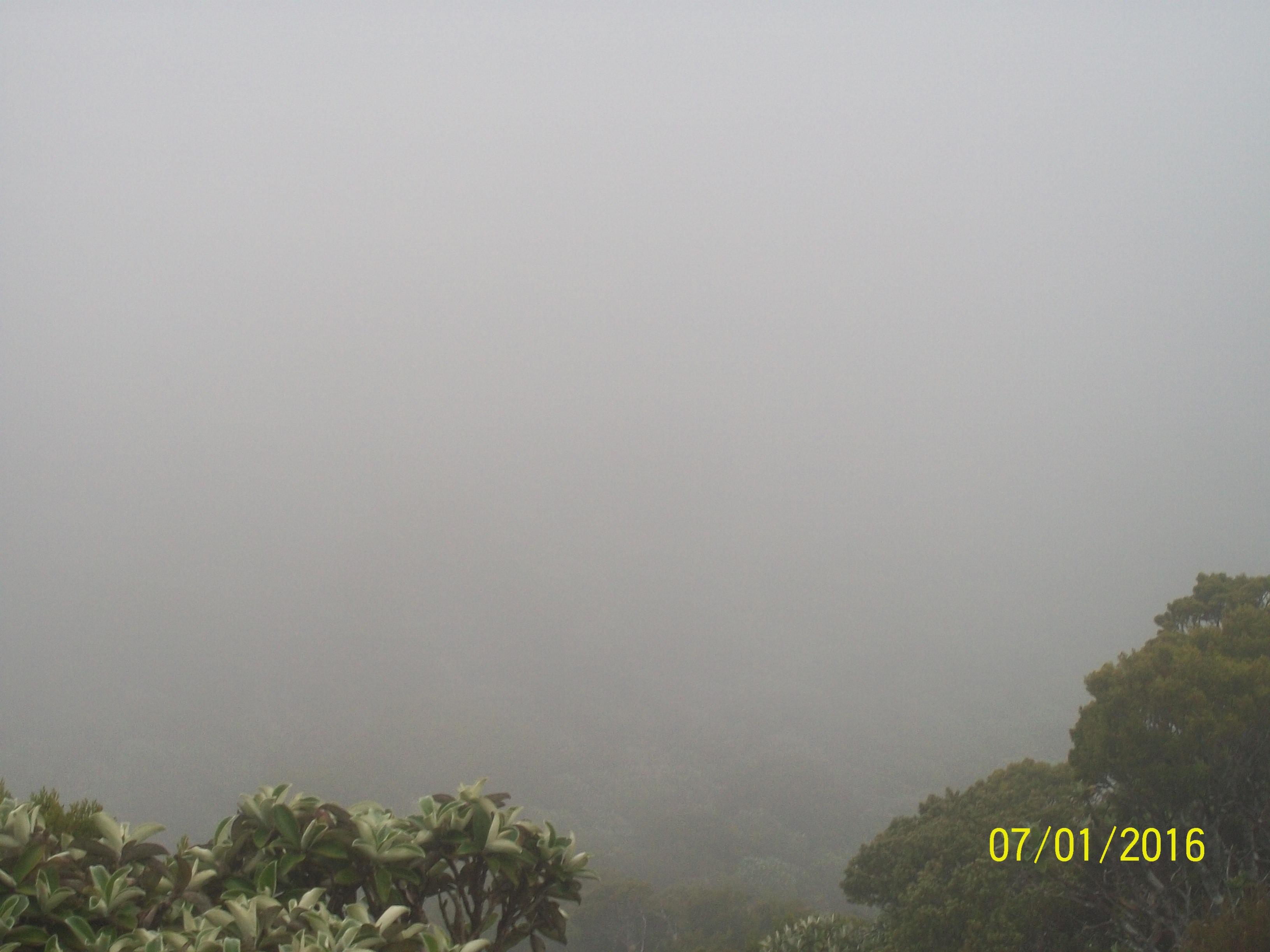 Name:  100_2871.jpg
Views: 598
Size:  437.8 KB