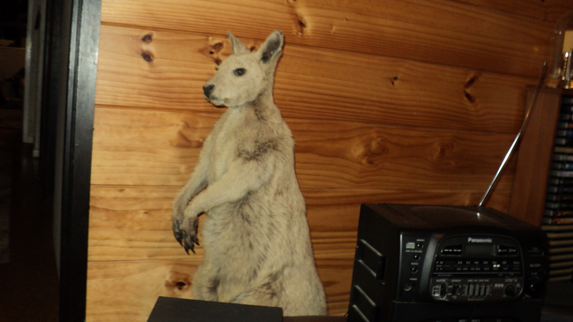 Name:  Picture 101.jpg
Views: 769
Size:  905.3 KB