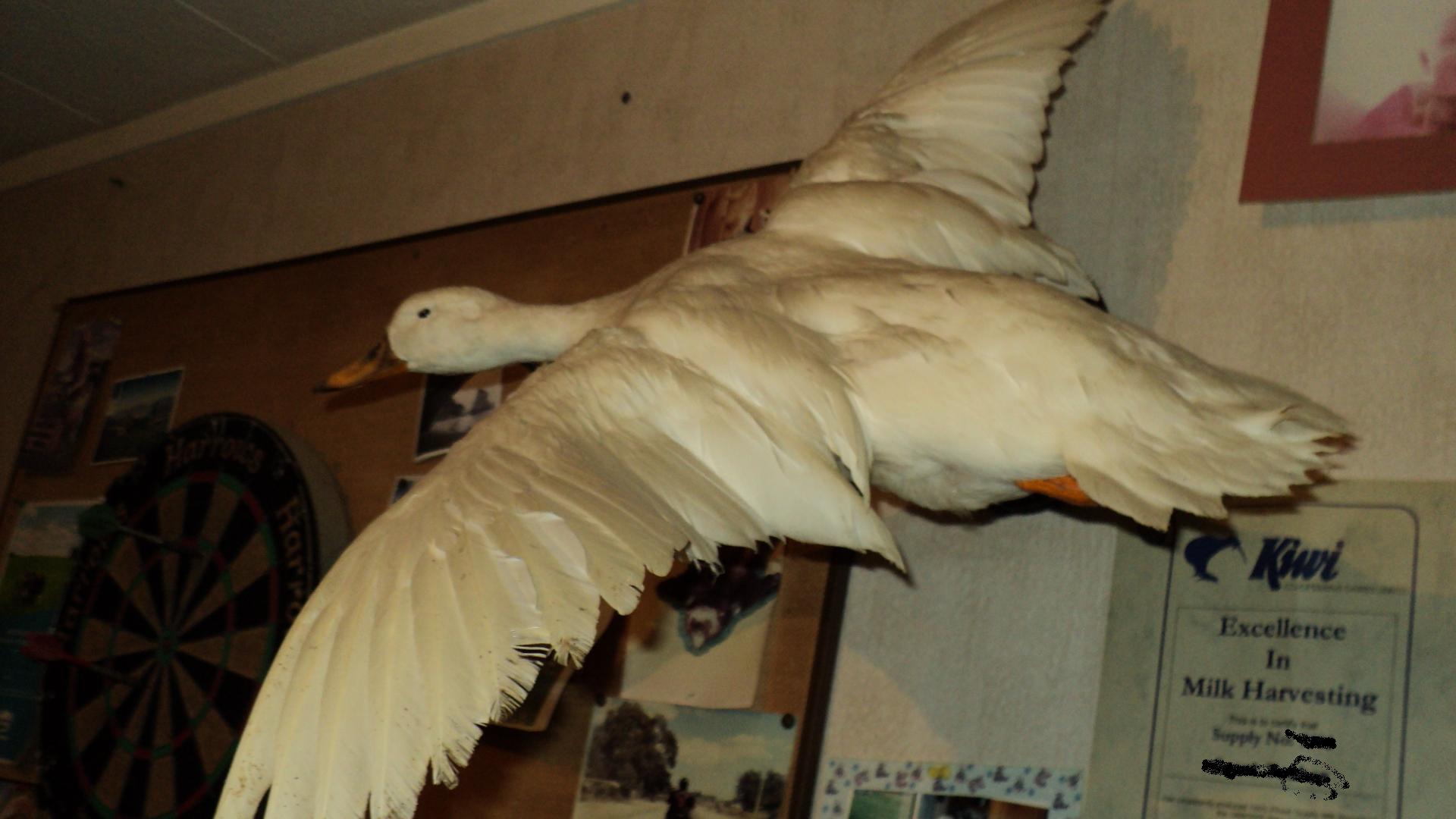 Name:  Picture 105.jpg
Views: 710
Size:  164.7 KB