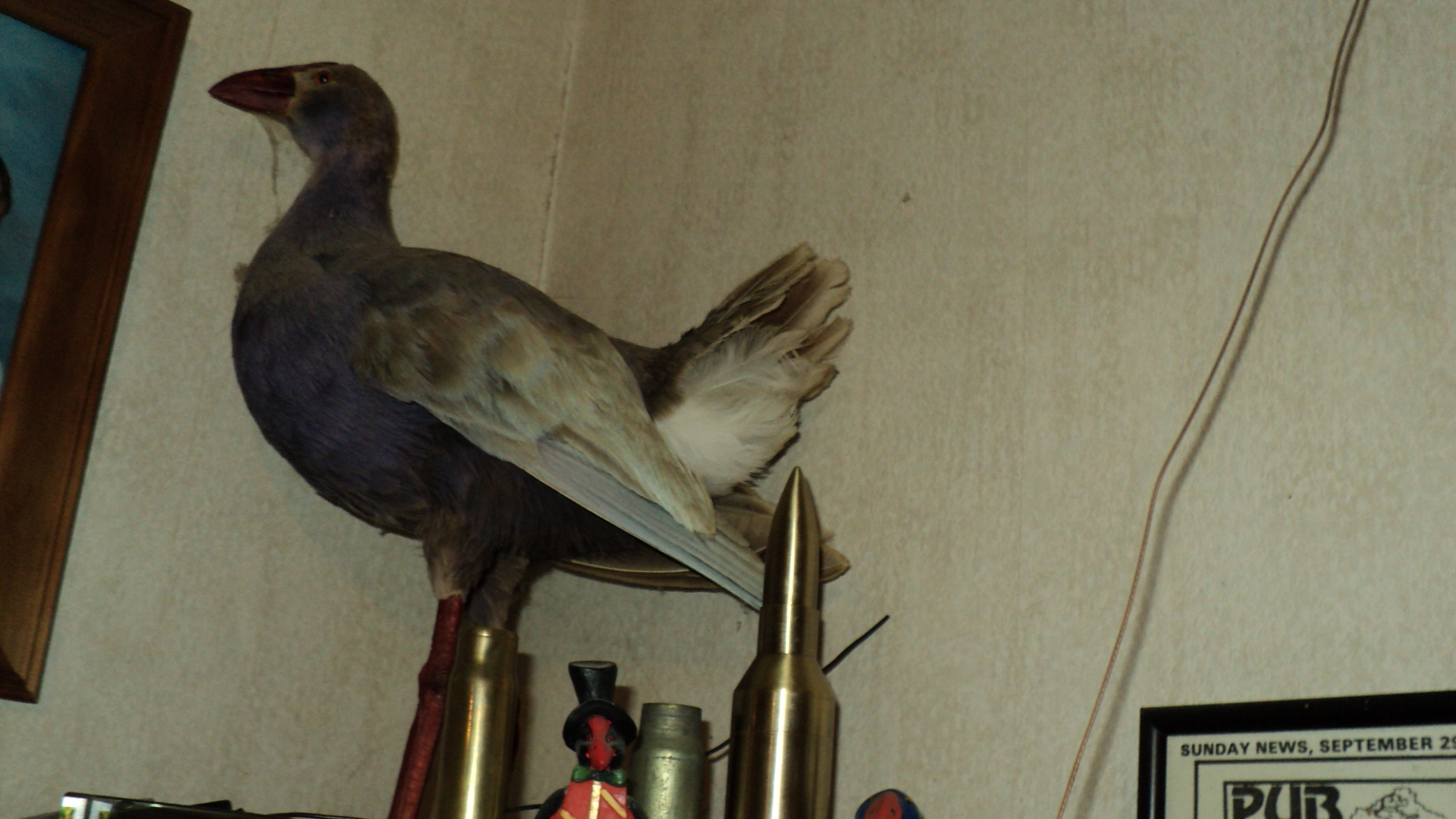 Name:  Picture 106.jpg
Views: 716
Size:  925.6 KB