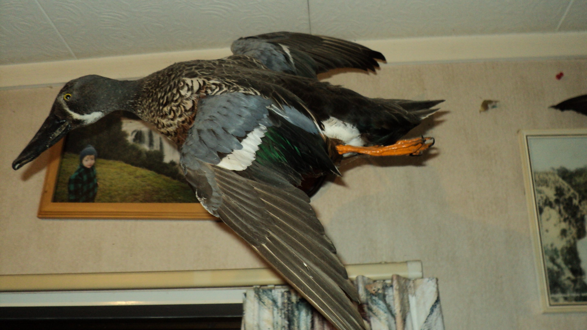 Name:  Picture 109.jpg
Views: 668
Size:  928.5 KB