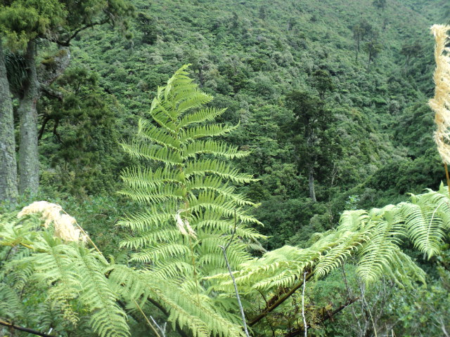 Name:  picture 7804.jpg
Views: 1027
Size:  161.5 KB