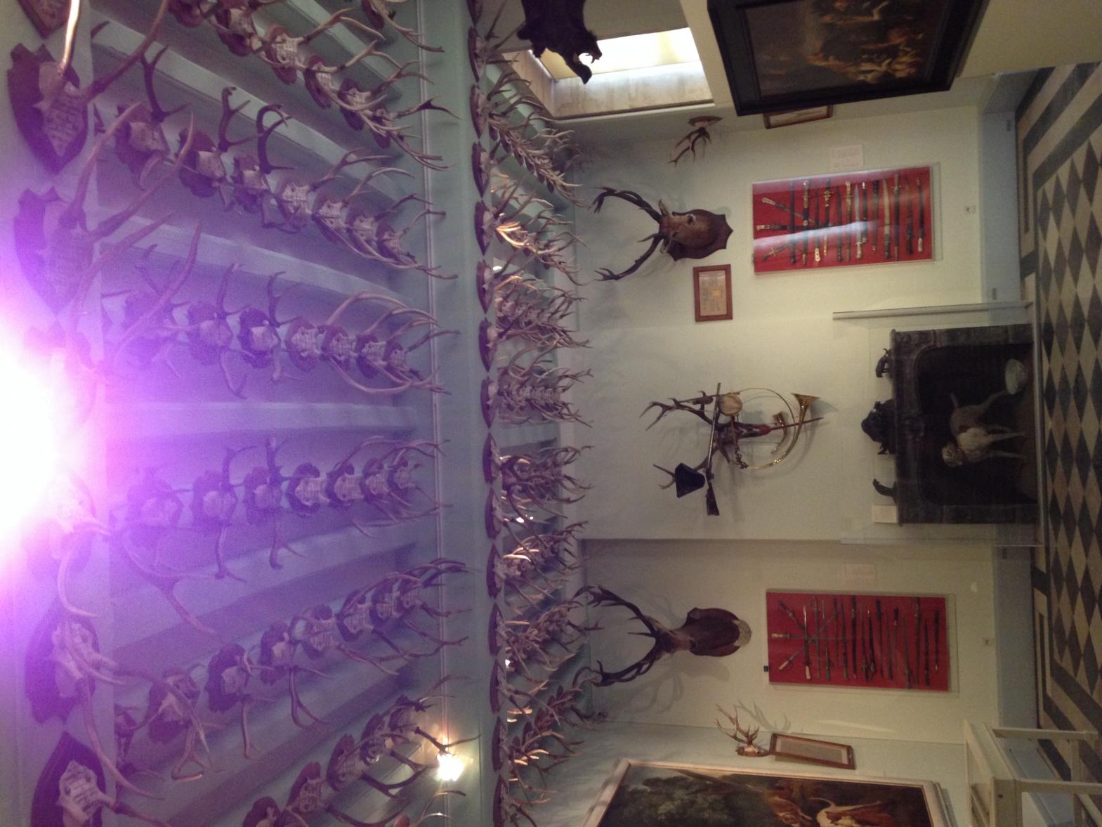 Name:  image.jpg
Views: 454
Size:  188.7 KB