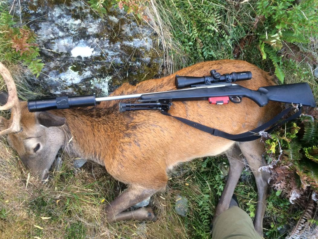 NZ Hunting and Shooting Forums