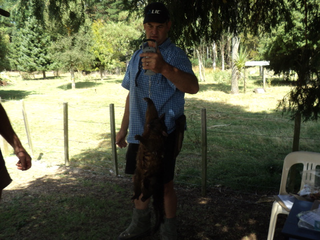 Name:  picture 7944.jpg
Views: 329
Size:  164.8 KB