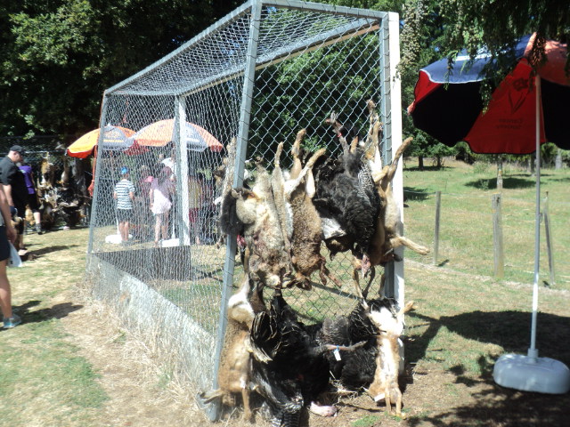 Name:  picture 7947.jpg
Views: 303
Size:  164.5 KB