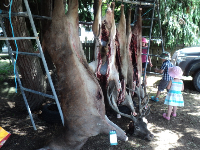 Name:  picture 7950.jpg
Views: 272
Size:  163.5 KB