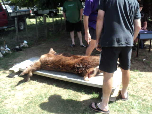 Name:  picture 7957.jpg
Views: 288
Size:  164.2 KB