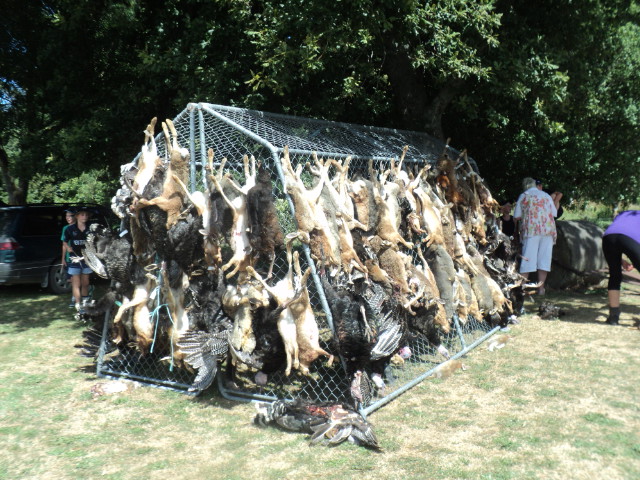 Name:  picture 7963.jpg
Views: 293
Size:  165.1 KB