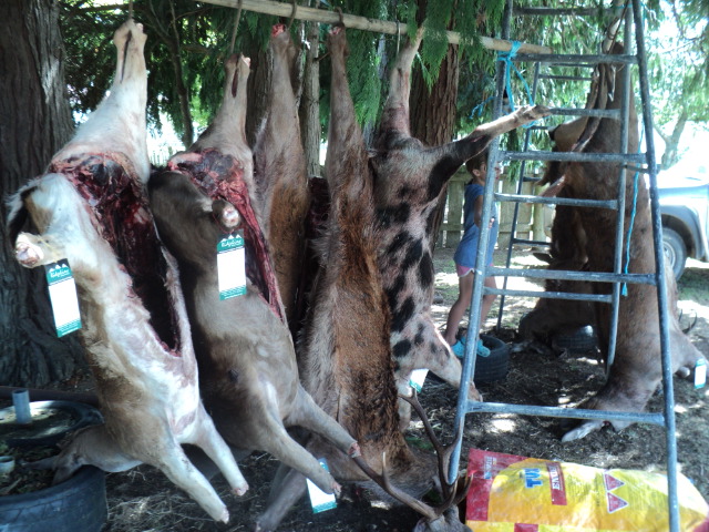 Name:  picture 7964.jpg
Views: 307
Size:  164.9 KB