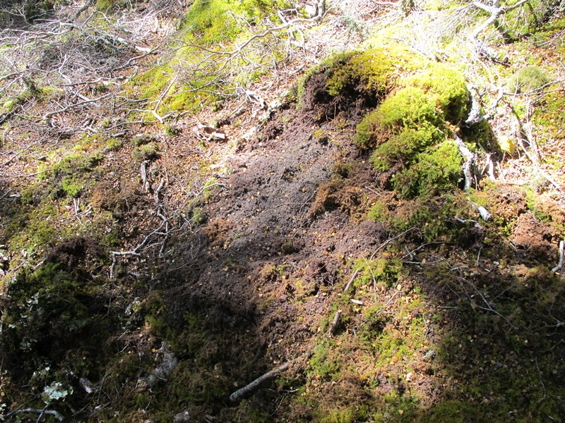 Name:  IMG_4310.JPG
Views: 795
Size:  312.3 KB