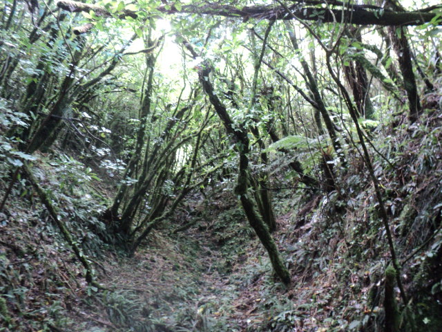 Name:  picture 8117.jpg
Views: 629
Size:  163.5 KB