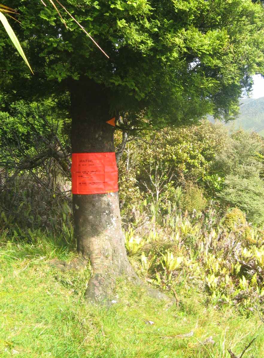Name:  warning sign II.jpg
Views: 462
Size:  172.7 KB