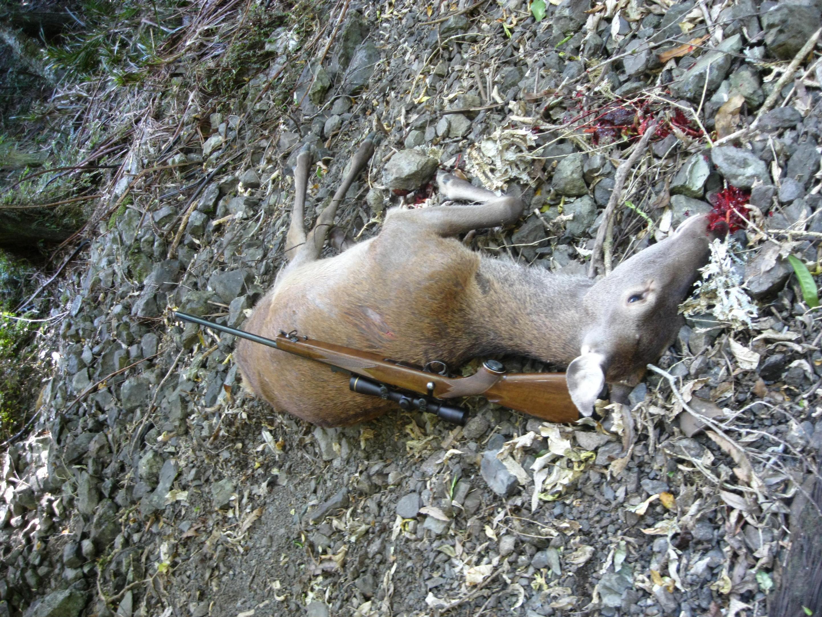 Name:  IMG_3252.jpg
Views: 1339
Size:  1.05 MB