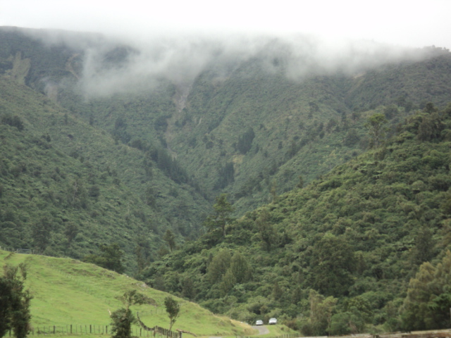 Name:  picture 8312.jpg
Views: 875
Size:  164.7 KB