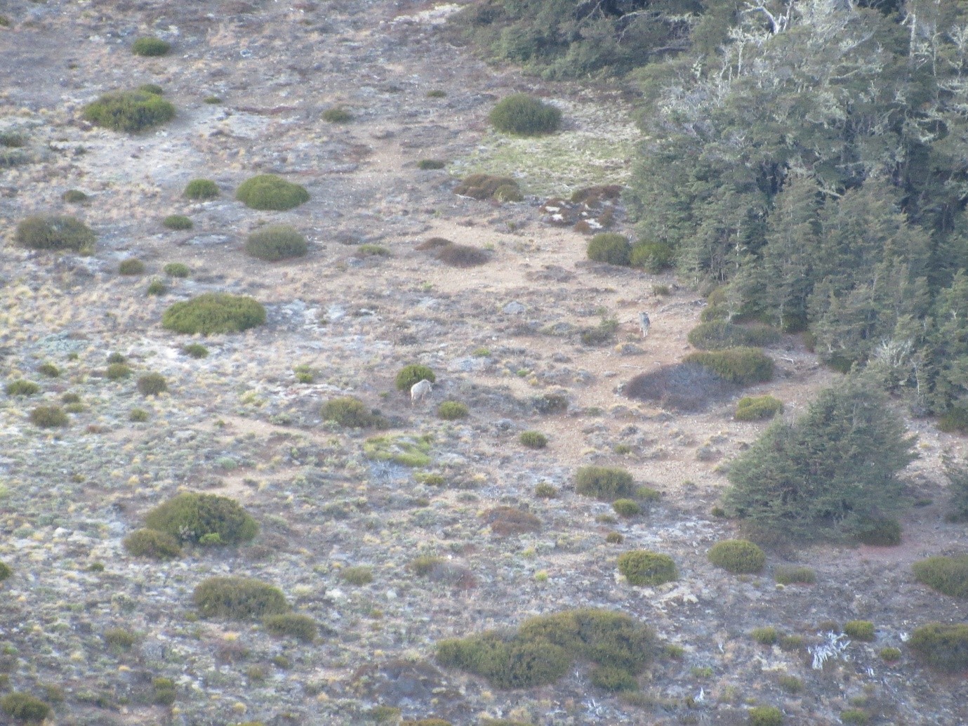 Name:  5.jpg
Views: 654
Size:  514.2 KB