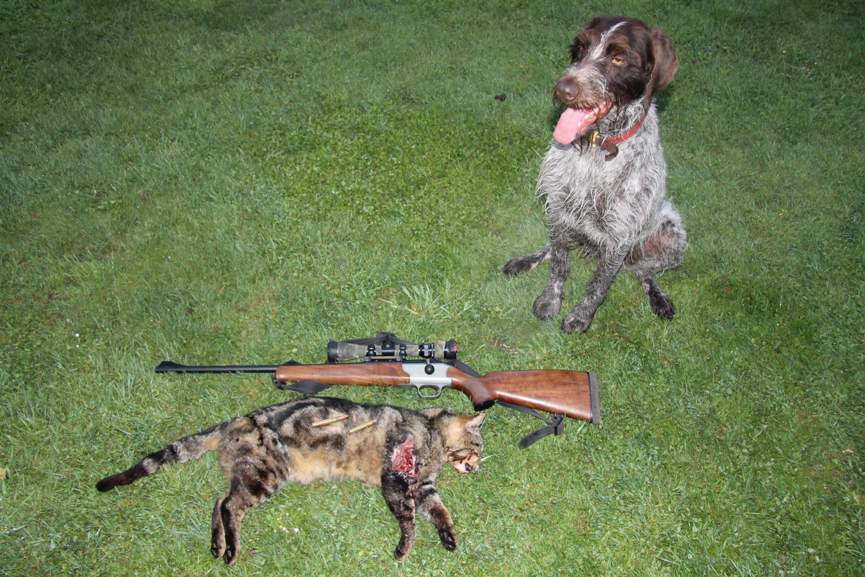Name:  32766d1420446011-anyone-hunting-9-3x62-img_0137.jpg
Views: 1059
Size:  980.7 KB