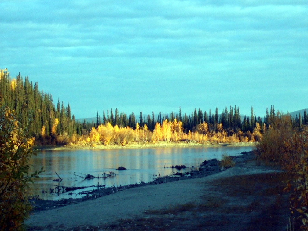 Name:  KoyuKamp Morningview2.jpg
Views: 413
Size:  623.5 KB