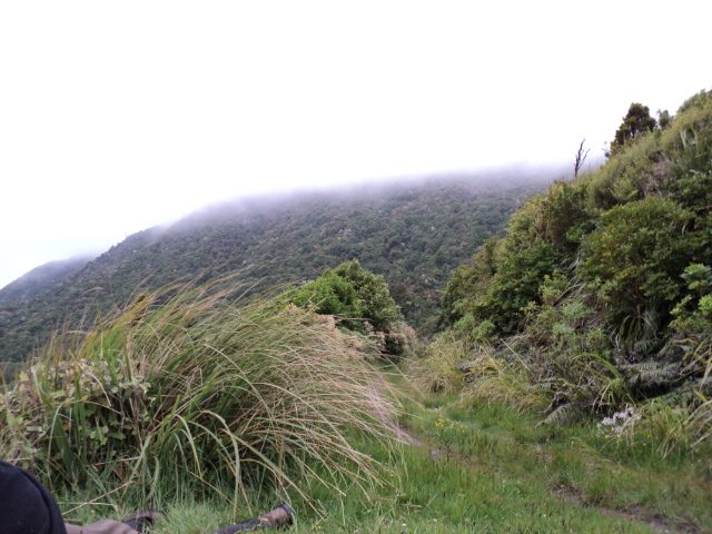 Name:  picture 699.jpg
Views: 435
Size:  164.7 KB