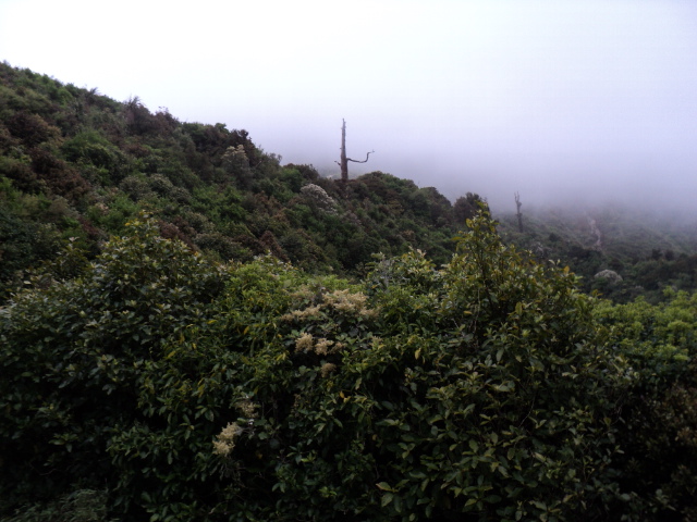 Name:  picture 700.jpg
Views: 426
Size:  164.7 KB