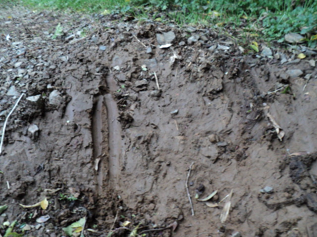 Name:  picture 703.jpg
Views: 433
Size:  163.4 KB