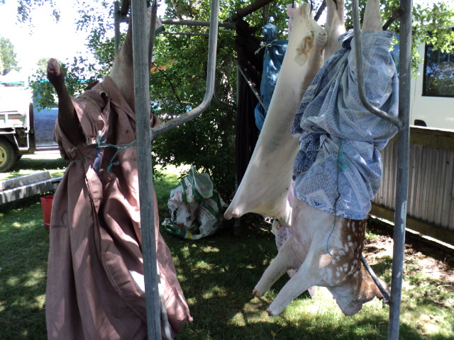 Name:  picture 002.jpg
Views: 347
Size:  164.4 KB
