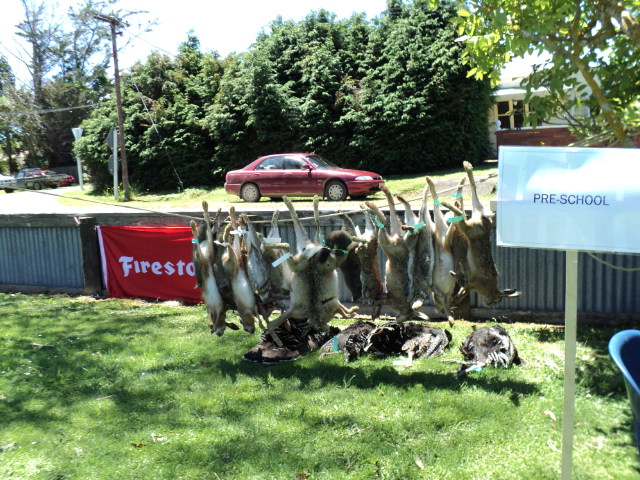 Name:  picture 007.jpg
Views: 333
Size:  164.4 KB