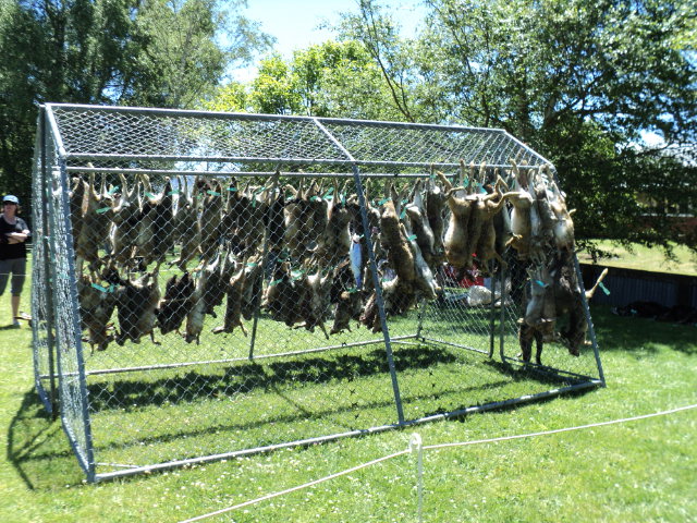 Name:  picture 010.jpg
Views: 350
Size:  164.4 KB